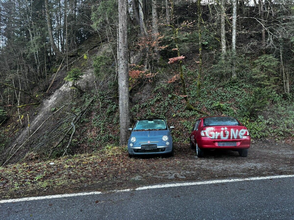 Der graublaue Fiat und der rote Renault stehen verlassen und ohne Kennzeichen in einer Bucht am Straßenrand.M. Mayer
