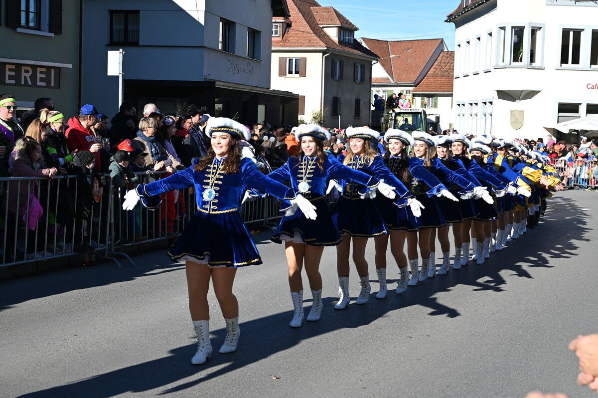 Die Harder-Mufängar-Garde war beim Harder Umzug bei strahlendem Sonnenschein dabei. AFP (3)