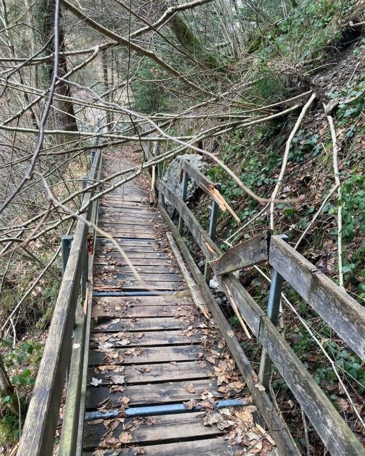 Die Stege wurden stark in Mitleidenschaft gezogen.