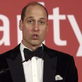 Prinz William politisch