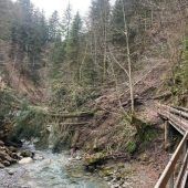Enorme Schäden in der Bürser Schlucht