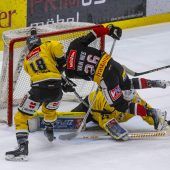 Gelungene Generalprobe  für die Pioneers