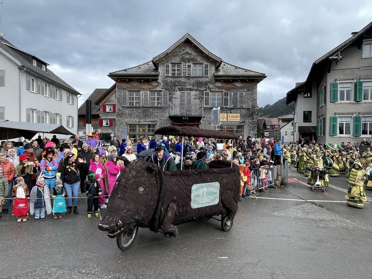 „He, wo, a Wildsau“ hieß es am Rosenmontag wieder beim großen Fasnatumzug in Alberschwende. VN/Mef (3)