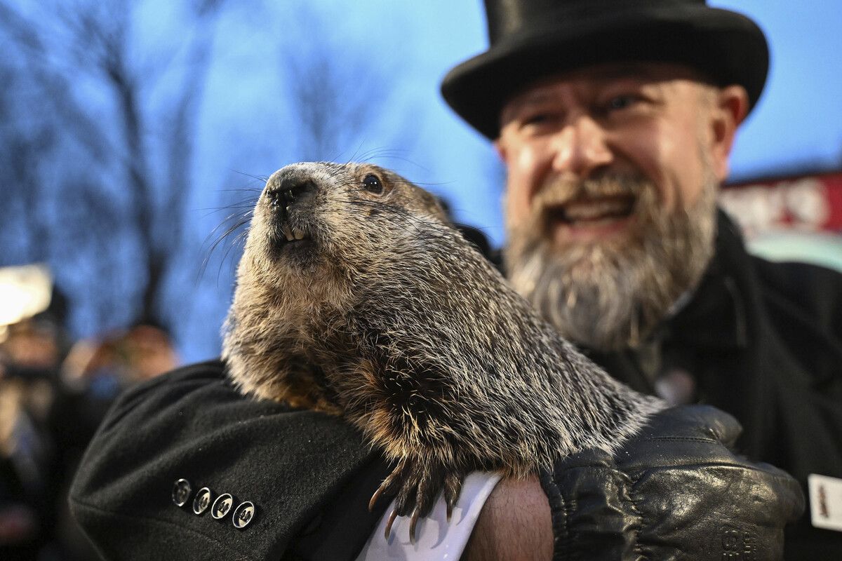 Phil hat ein baldiges Ende des Winters vorhergesagt.AP