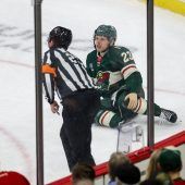 Wild verspielten  zweimal die Führung