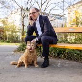 Hundehalter müssen Theorie und Praxis lernen