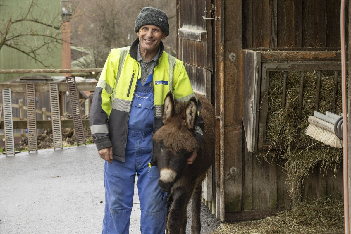 Zoomitarbeiter Gerhard mit einem der jüngsten der knapp 540 Zoobewohnern, einem Eselmädchen. VN/Paulitsch