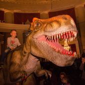 Dinosaurier im Spannrahmen
