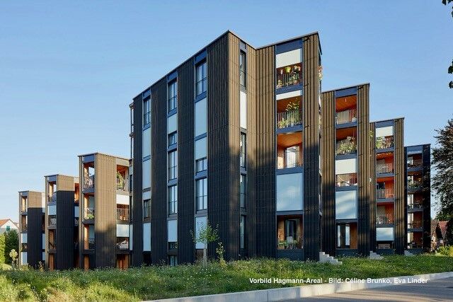 Das Hagmann-Areal in Winterthur ist für die Vorarlberger Initiatoren ein gutes Beispiel für ein gelungenes Projekt. brunko