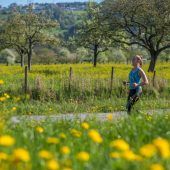 Bewegungstreffs ­lassen grüßen