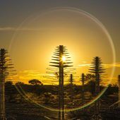 Australien: Erste Antennen für ­Superradioteleskop errichtet