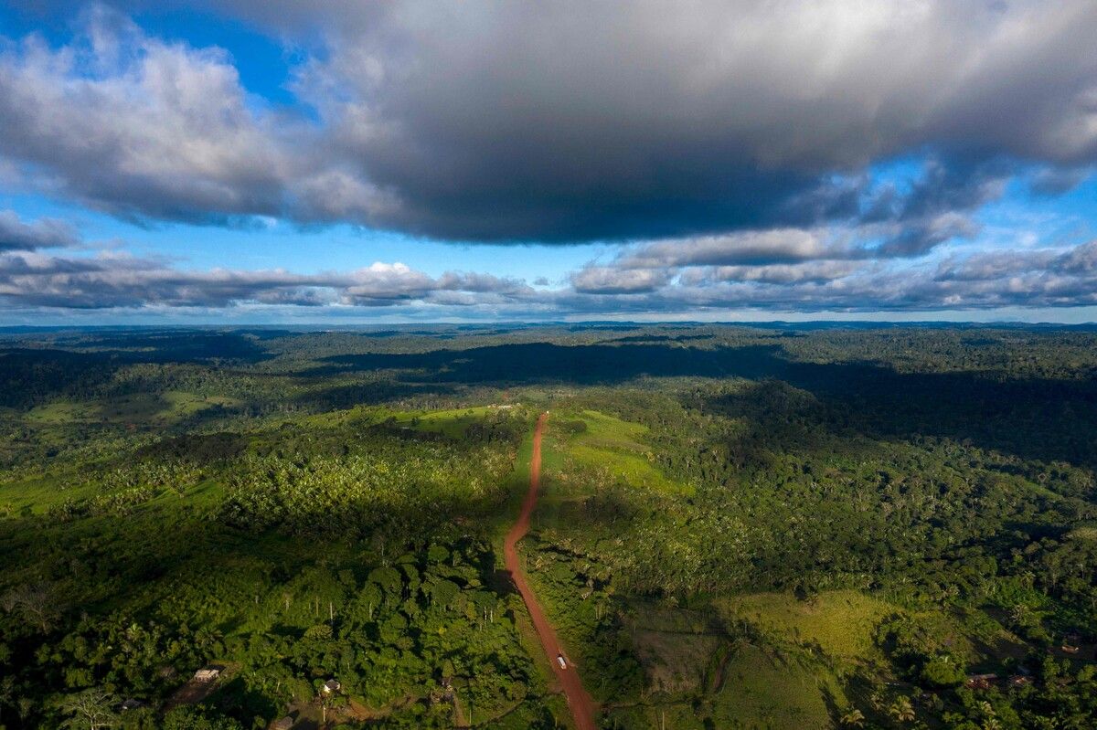 Der Amazonasregenwald ist enorm wichtig im Kampf gegen den Klimawandel. afp