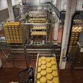 Zweimal Bronze für Vorarlberg Milch