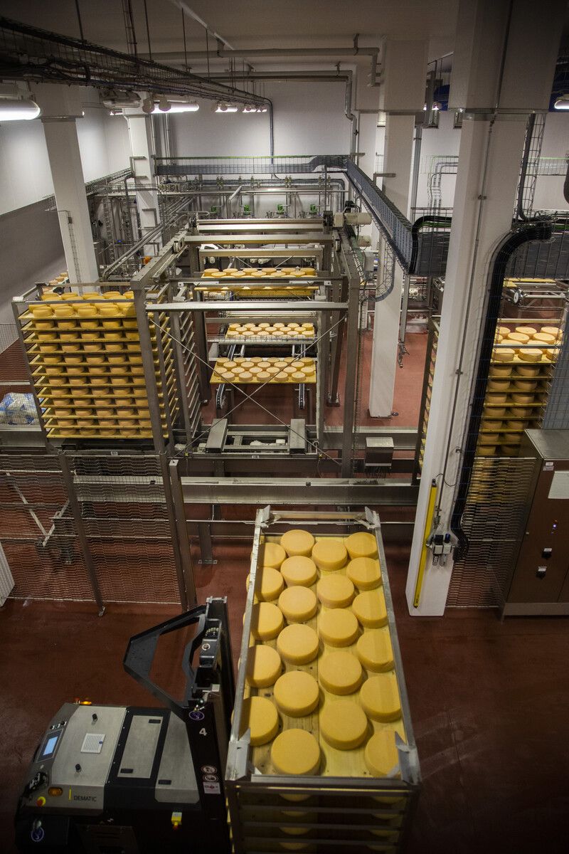 Der Käse-Reifekeller von Vorarlberg Milch am Standort Feldkirch. vn