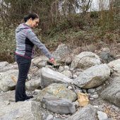 Schockiert von Müllflut auf dem Ill-Radweg