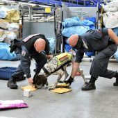 Geschmuggelte Tiere und wertvolle Uhren