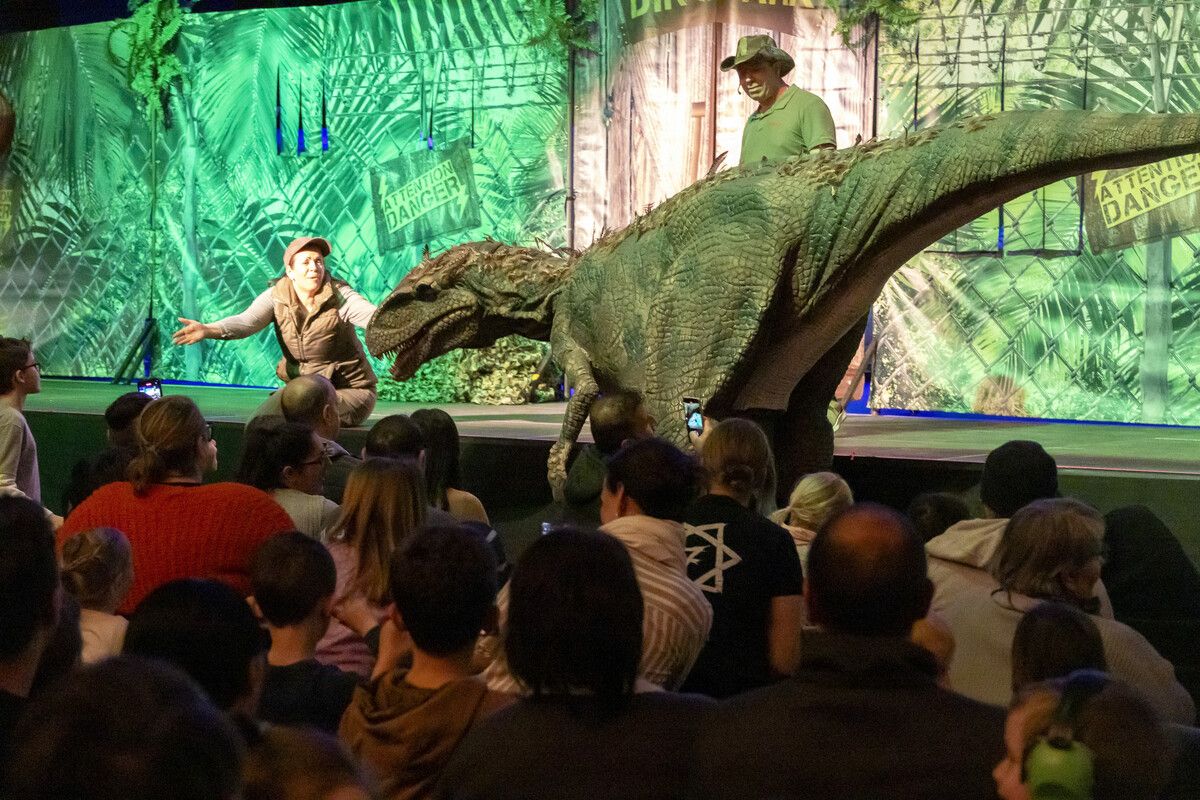 Eine beeindruckende Erscheinung, dieser Dinosaurer. Im Harder Spannrahmen gab es am Sonntag einige der Giganten der Urzeit zu sehen. VN/Paulitsch