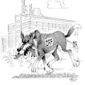 „Wolf“ vom Küniglberg!