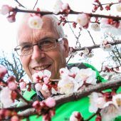 Angst wegen früher Blüte