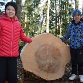 Innovative Holznutzung in Langenegg