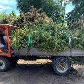 Grünschnitt und Gartenabfall: Sammelstelle ab sofort geöffnet