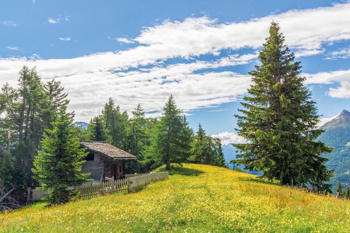 Immer wieder findet man bei einer Tour durch das Osttirol idyllische Flecken, die zur Pause einladen. Shutterstock