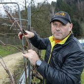 Das leichte Zittern vor der „Frostkeule“