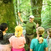 Was der Wald übers Klima erzählt