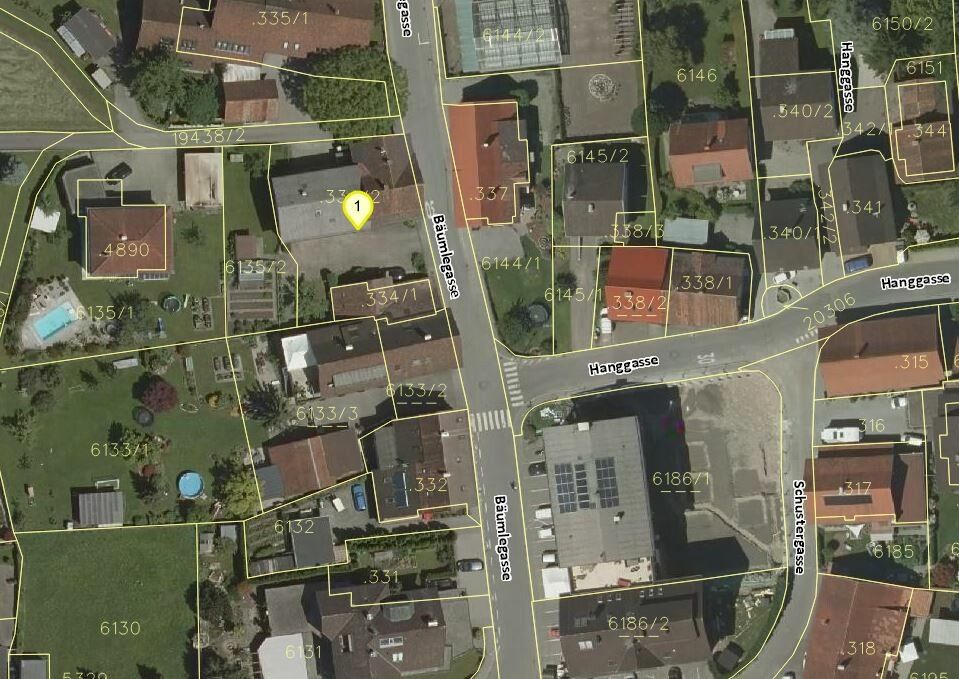 © Land Vorarlberg: data.vorarlberg.gv.at, BEv (DKM); maps4news