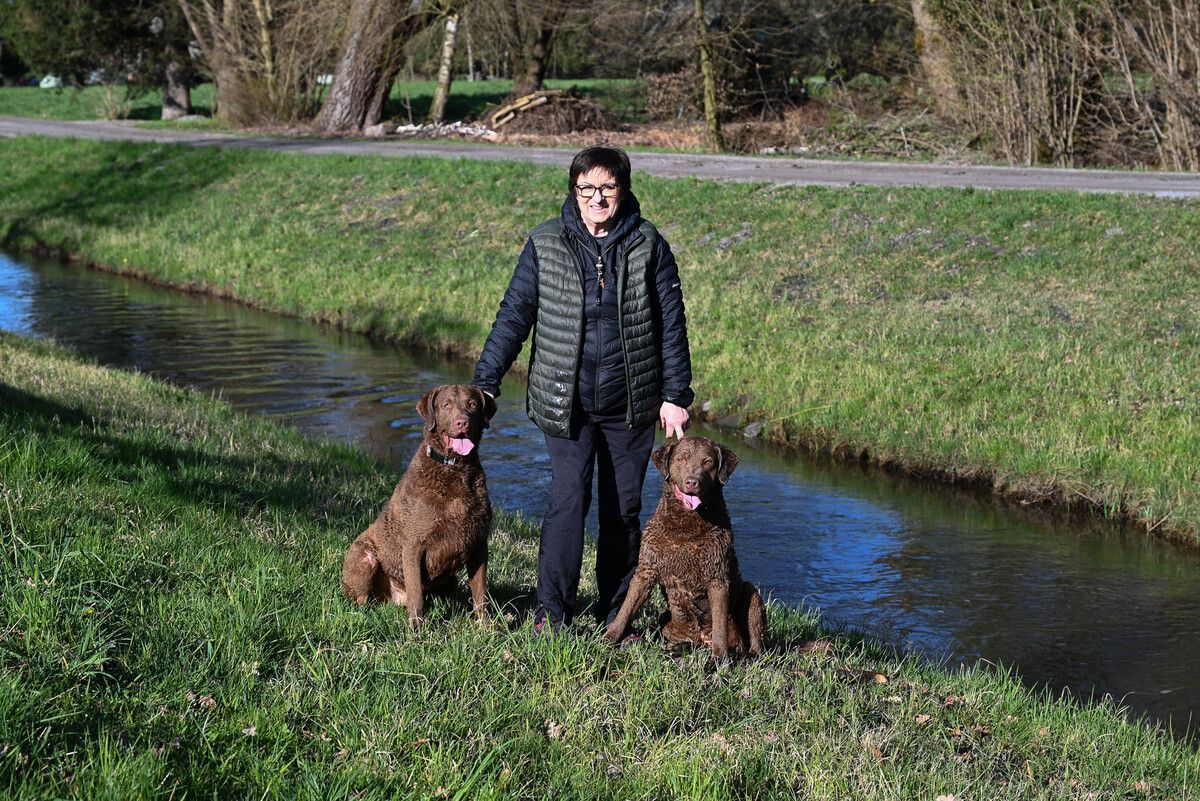 Margot Spechtenhauser war mit ihren beiden Chesapeake Bay Retriever „Acci“ und „Brooks“ bei der weltweit größten Hundeausstellung in England. Ihre Hunde gelten als schönste weltweit. bvs