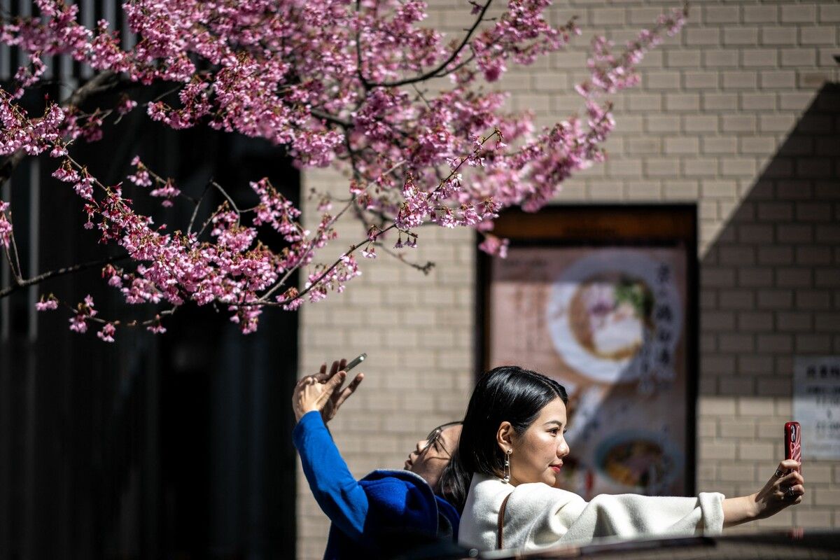 Passanten knipsen Fotos mit den Kirschblütenbäumen im Stadtteil Chuo in Tokio. AFP