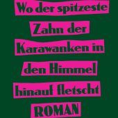 Ein Kärntner Roman mit feinen Untertönen