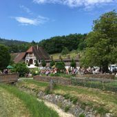 Frühlingszauber auf dem Sunnahof