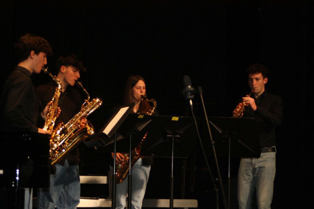 Das Saxophonquartett „Furioso“ überzeugte mit der Darbietung von zahlreichen Welthits. vn/tk (2)