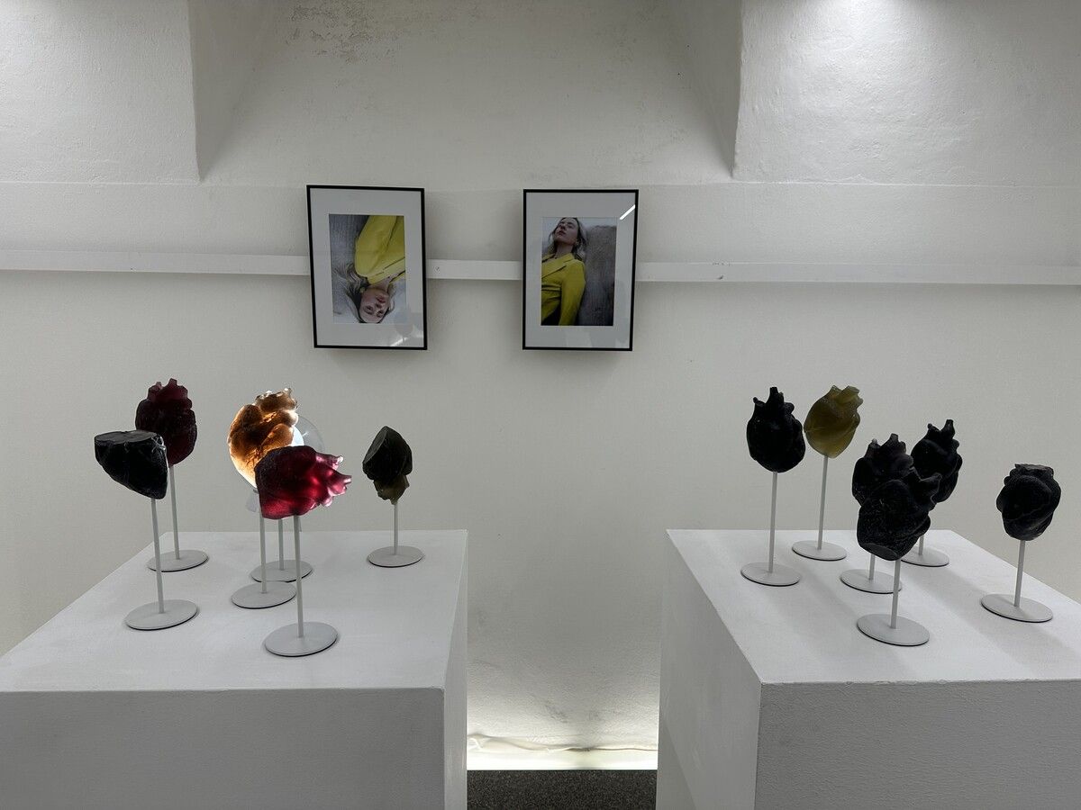 Das vordere Kunstwerk ist von Nikola Bartenbach, die Fotos von Tabea Martin. bi (4)