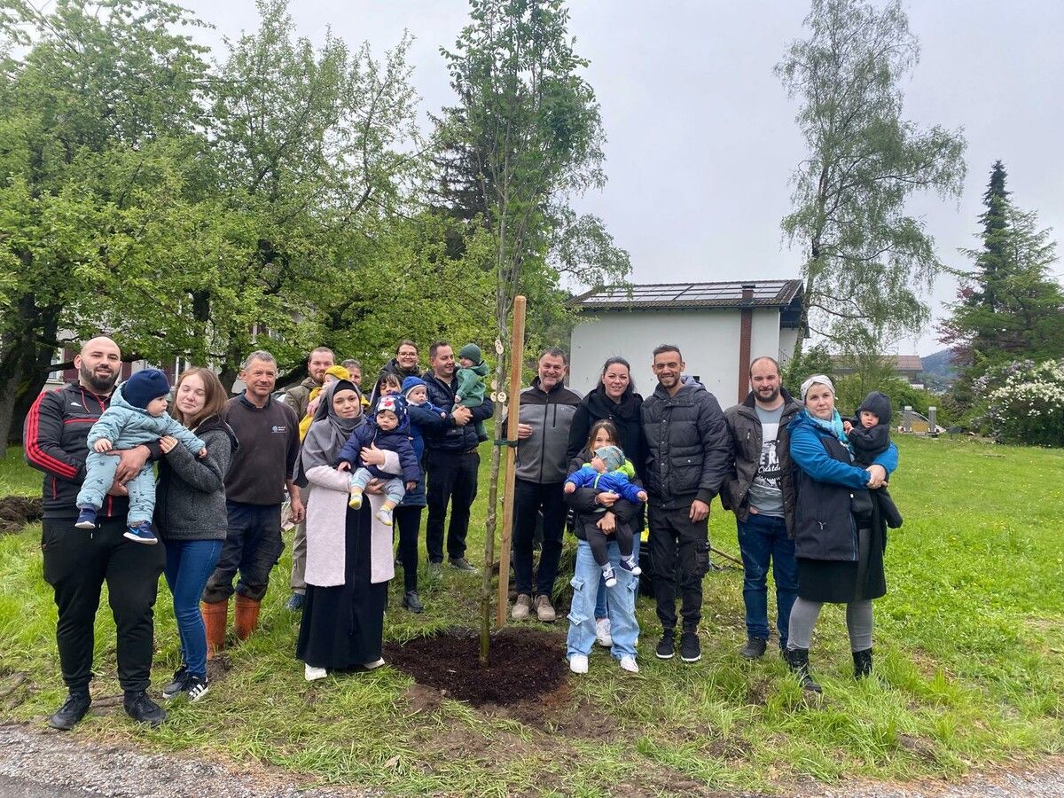Der Jahrgangsbaum 2023, ein Vogelbeerbaum, wurde im Beisein einiger Kinder und Eltern im Bereich Farbgasse/Schulgasse beim Spielplatz in Bludesch gepflanzt. Annelies Fliri
