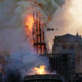 Notre-Dame bald in neuem Glanz