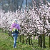 März brachte einen neuen Temperaturrekord