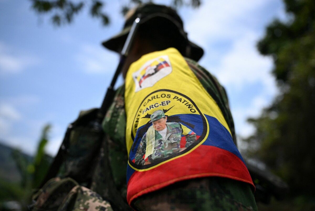 Ein Mitglied der FARC-Guerilla in Kolumbien patrouilliert neben Kokapflanzen in einer Hochburg der EMC-Rebellen. AFP