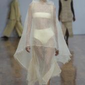 Transparent