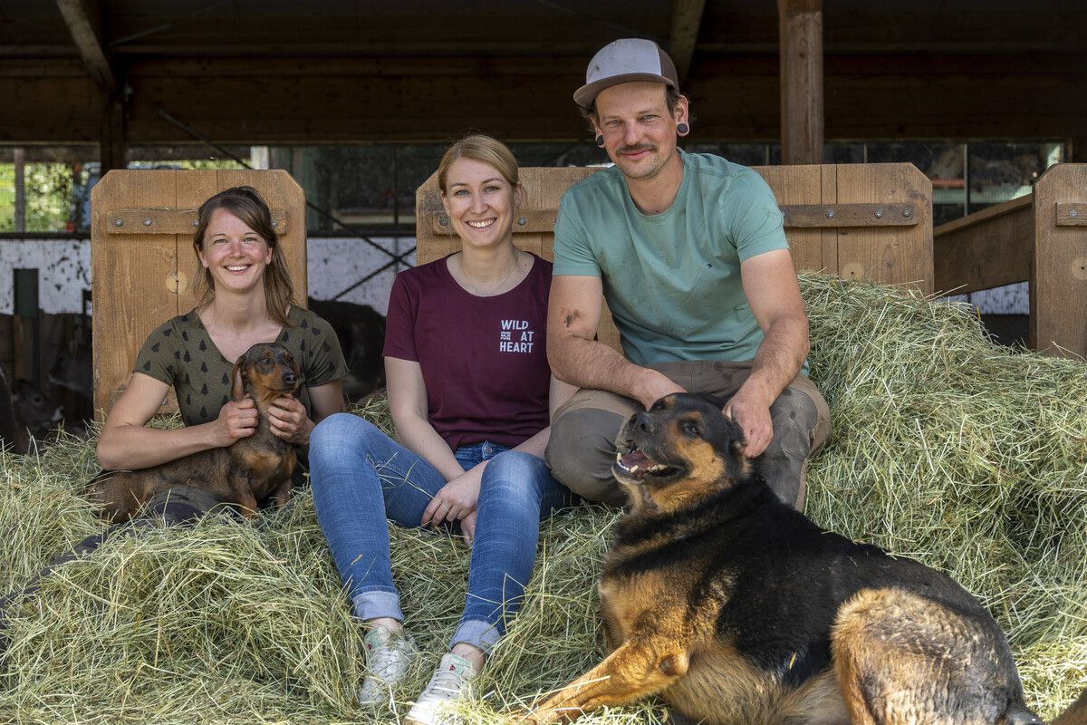 Gemeinsam mit seiner Schwester Elisa (l.), seiner Lebensgefährtin Veronika (Mitte) und der Unterstützung seiner gesamten Familie hat Hannes den entscheidenden Schritt weg von der reinen Milchviehwirtschaft gemacht. VN/Paulitsch (3)