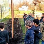 Schulgarten um Obstbäume erweitert