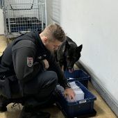 Duo gegen das Dunkle: Herr und Hund im Einsatz