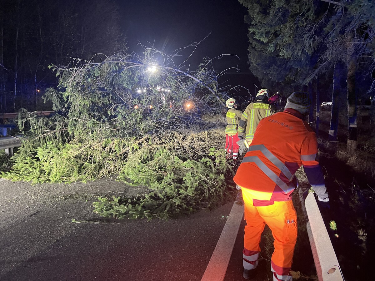 Im ganzen Land stürzten Bäume um, so wie hier bei der Anschlussstelle Hohenems der A 14. Vlach
