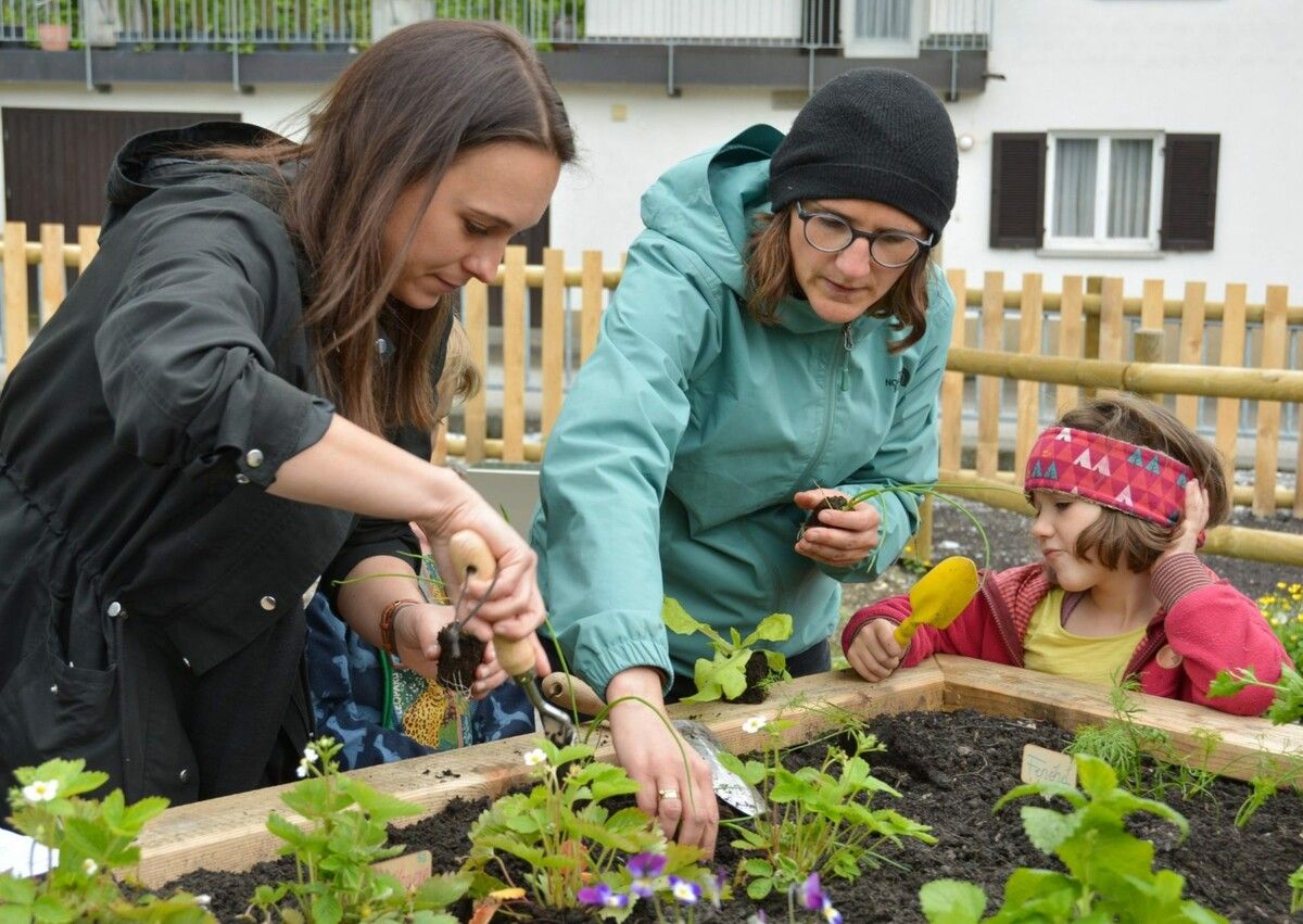 Im Rahmen der Klimawoche wird in Götzis auch in diesem Jahr wieder zusammen gegärtnert. Marktgemeinde Götzis