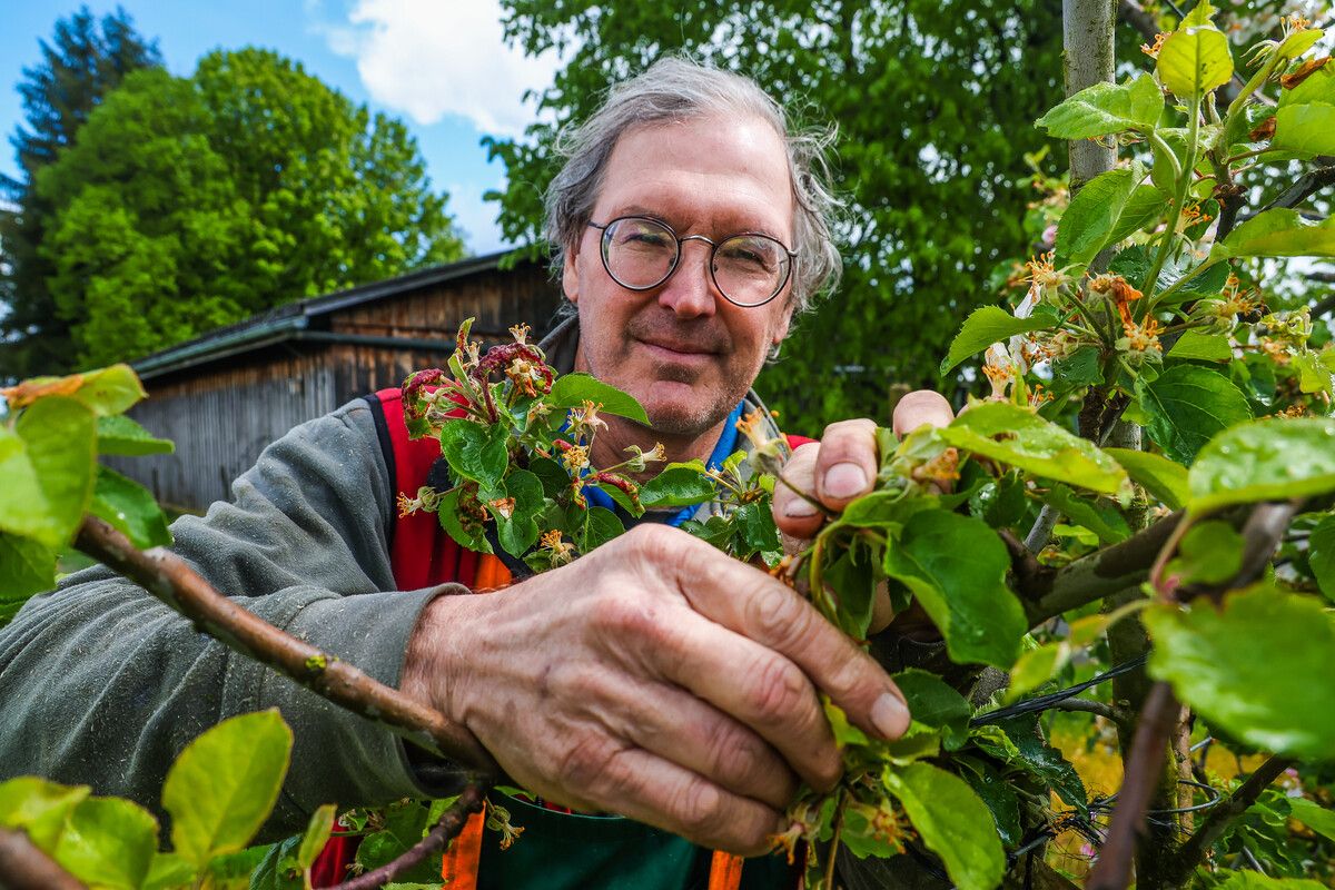 Jens Blum hat gelernt, mit der Natur zu leben. Die Wetterkapriolen stellen ihn und seine Kollegen vor große Herausforderungen. VN/Steurer