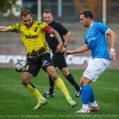 Transferkarussell nimmt Fahrt auf