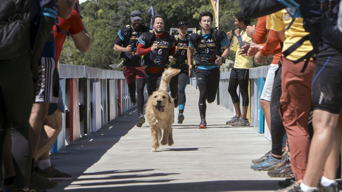 Michael und seinen Mitstreitern läuft ein streunender, erkrankter Hund namens Arthur zu. ap