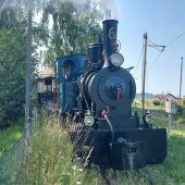 Saisoneröffnung im Werkhof Lustenau
