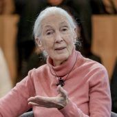 Jane Goodall feiert 90. Geburtstag